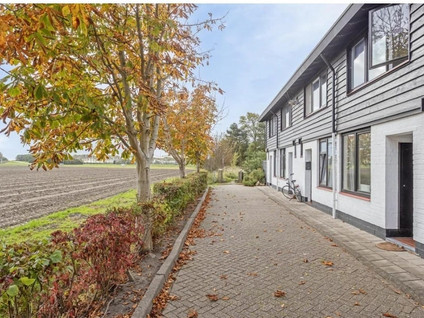Koningspleisterplaats 221