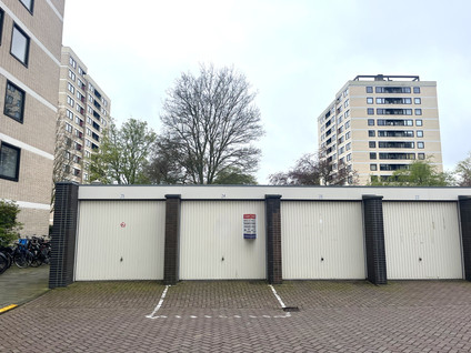 Vrijzicht 24