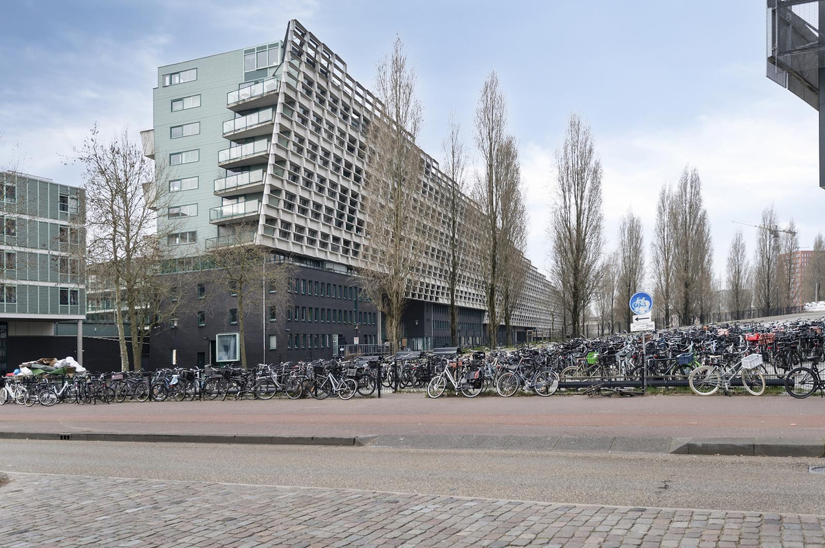 Borneolaan 271, Amsterdam