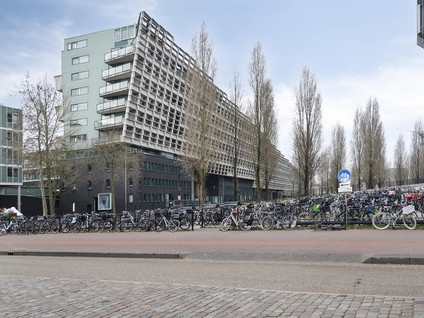 appartementen te huur op Borneolaan 271