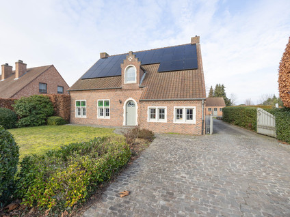 Bosstraat 62 