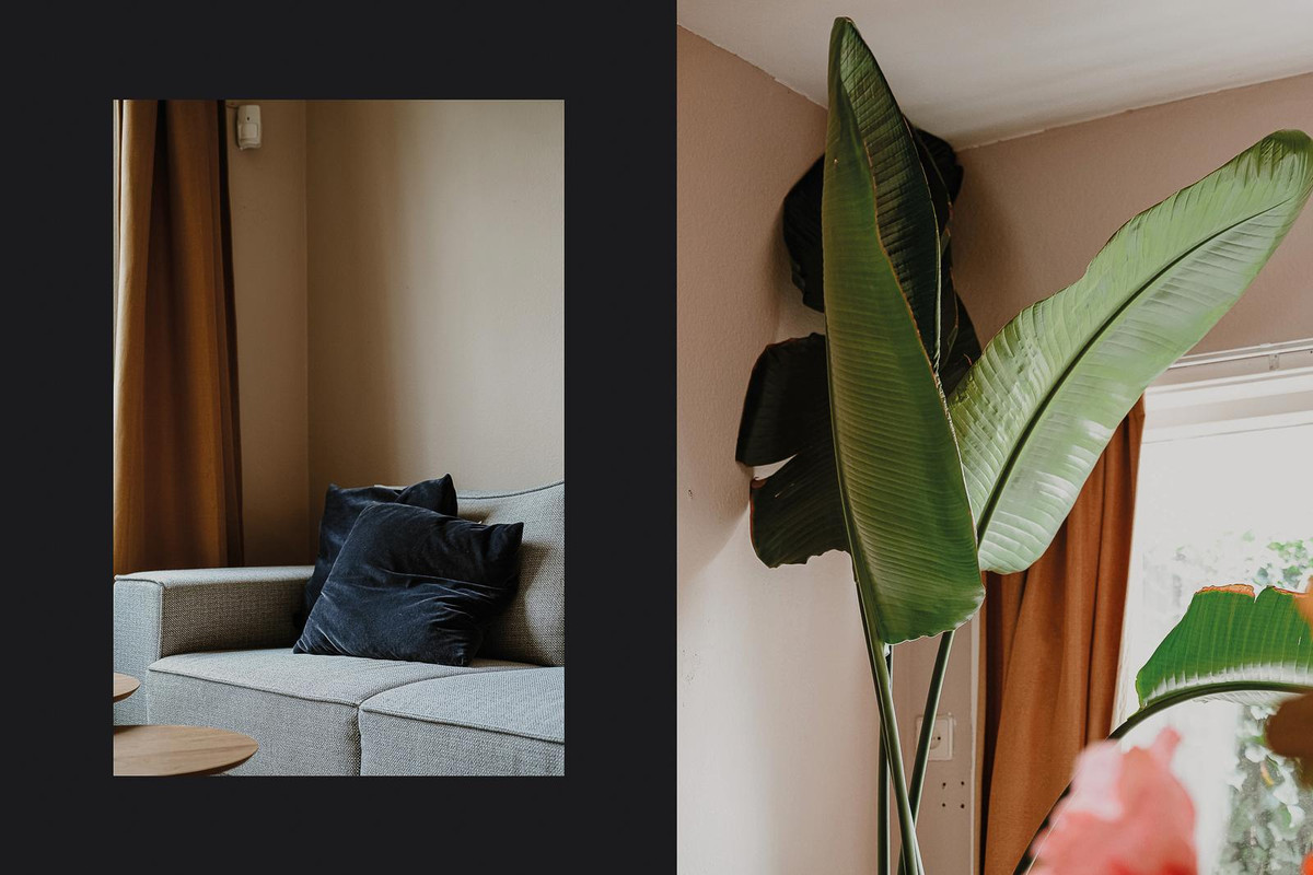 Tussenwoning te koop: Catharina van Renneslaan 16, Utrecht