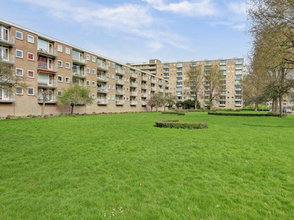 huurwoningen te huur op Bijdorp 11