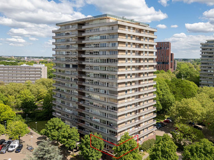 apartments for rent on Livingstonelaan 1012