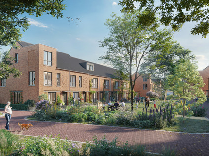 Zonnebloemstraat 