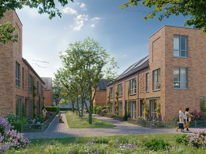 Zonnebloemstraat 