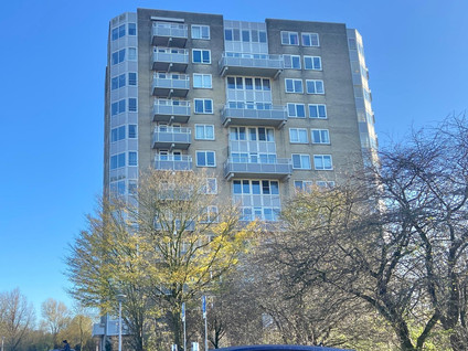 particuliere-woningen te huur op Rosa Spierlaan 410