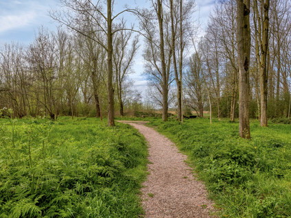 Koekoek 4