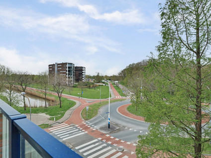 Beukenstraat 2 31