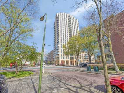 Randveen 594