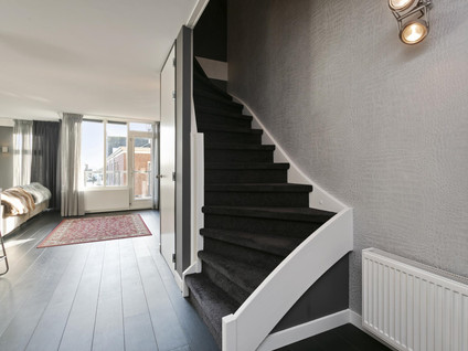 Treubstraat 4