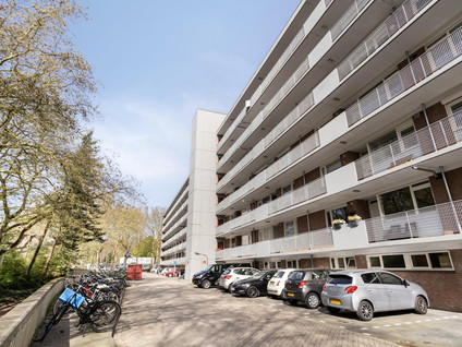 Cederstraat 93