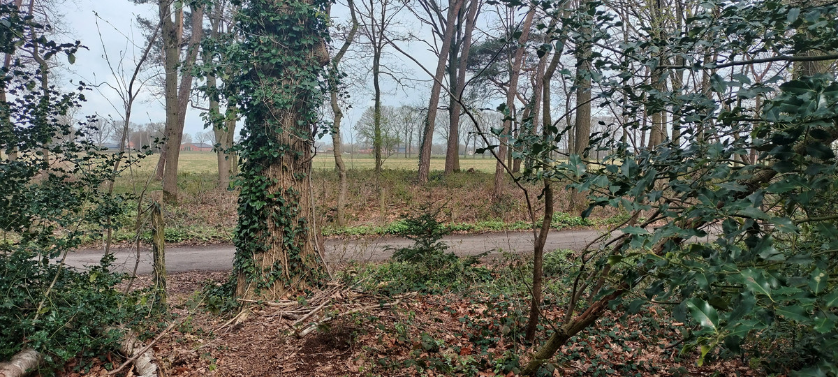 Vrijstaande woning te koop: Kievit 12B030, Baarle-Nassau
