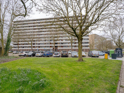 Seringenplantsoen 545