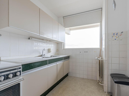 Seringenplantsoen 545
