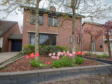 Frisostraat 38