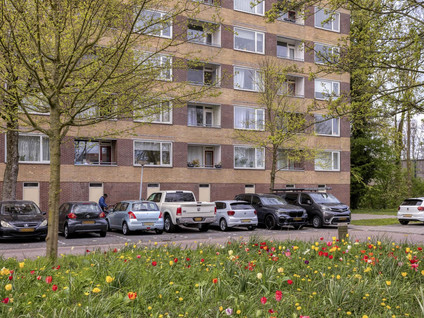 Fluitekruidweg 17