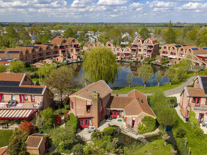 Knobbelzwaan 4