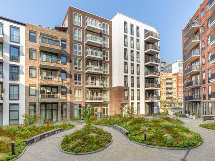 A rental house advertisment