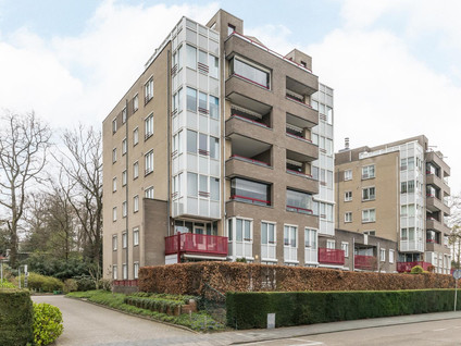 Beukenhorst 3