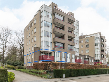Beukenhorst 3