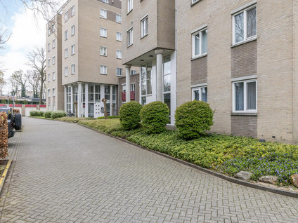 Beukenhorst 3