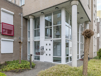 Beukenhorst 3