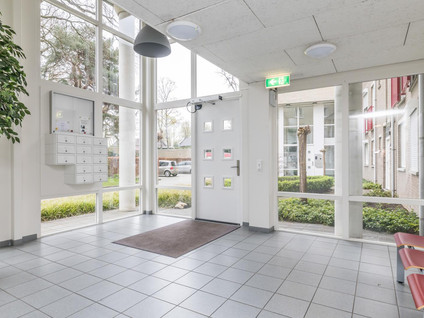 Beukenhorst 3