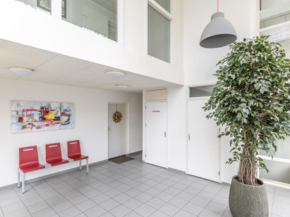 Beukenhorst 3