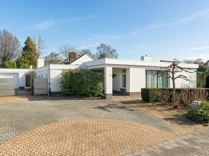 Stiegel 12