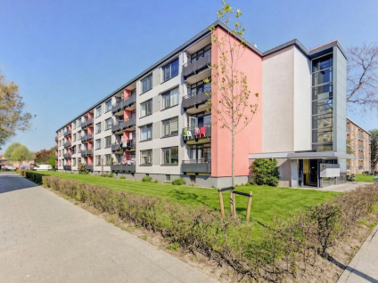 Socratesstraat 245