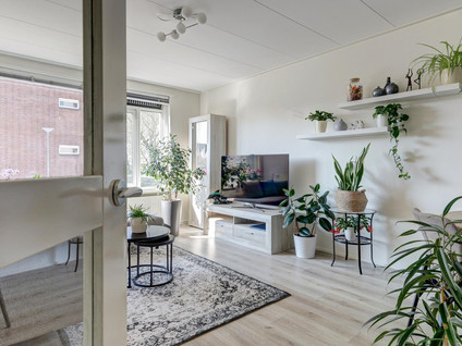 Socratesstraat 245