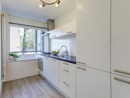 Socratesstraat 245
