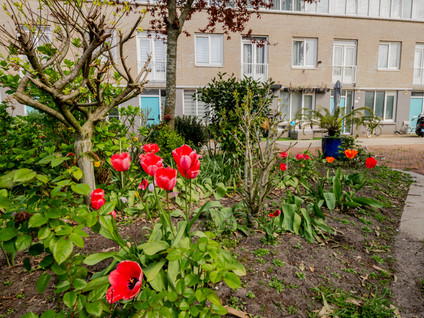 Houtzagerssingel 120