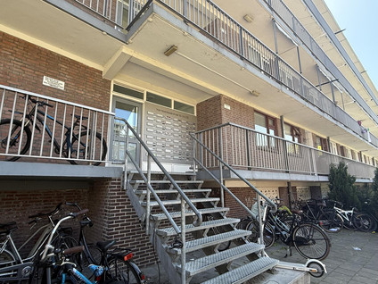 van Hoornbeekstraat 1D