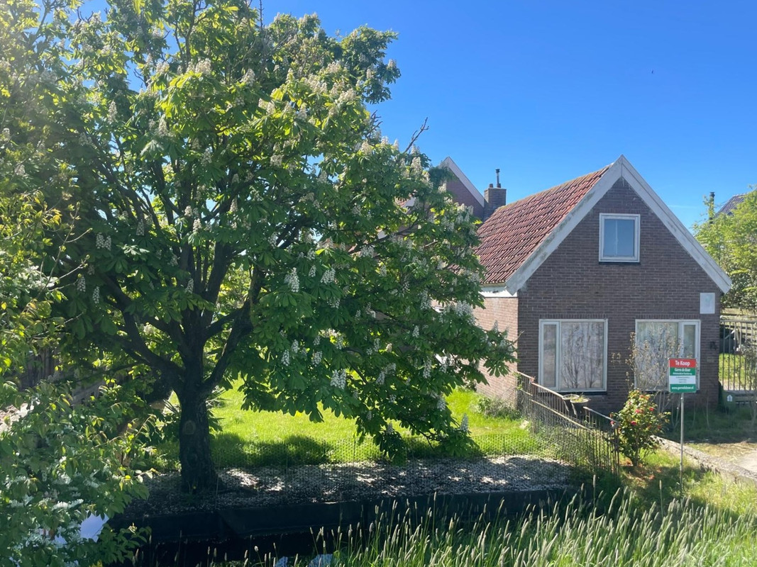 Vrijstaande woning te koop: Monnickendammerrijweg 51, Ilpendam