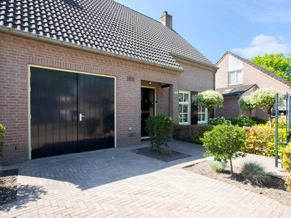 Beemke 59