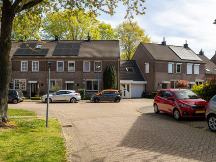 Buitenvaert 19