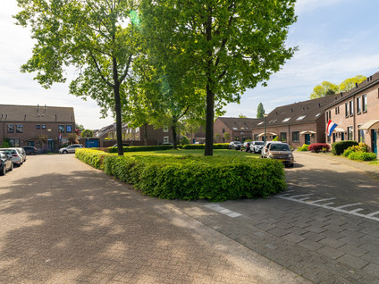 Buitenvaert 19