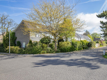 Maanhof 16