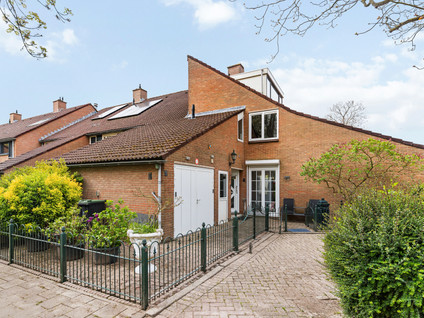 Klaverruiter 3