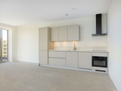 Randveen 554