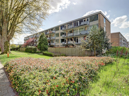 Appartement te koop: Van Opbergenstraat 10, Rotterdam