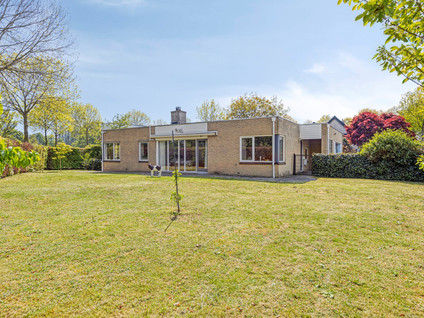 Zilverschoon 1