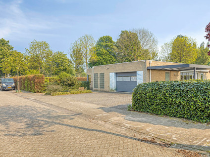 Zilverschoon 1