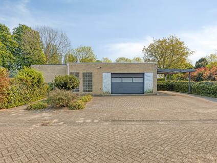 Zilverschoon 1