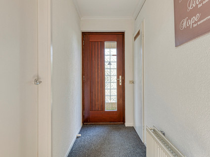 Zilverschoon 1