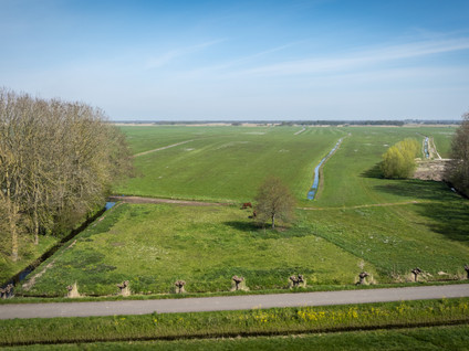 Buurtsteeg 