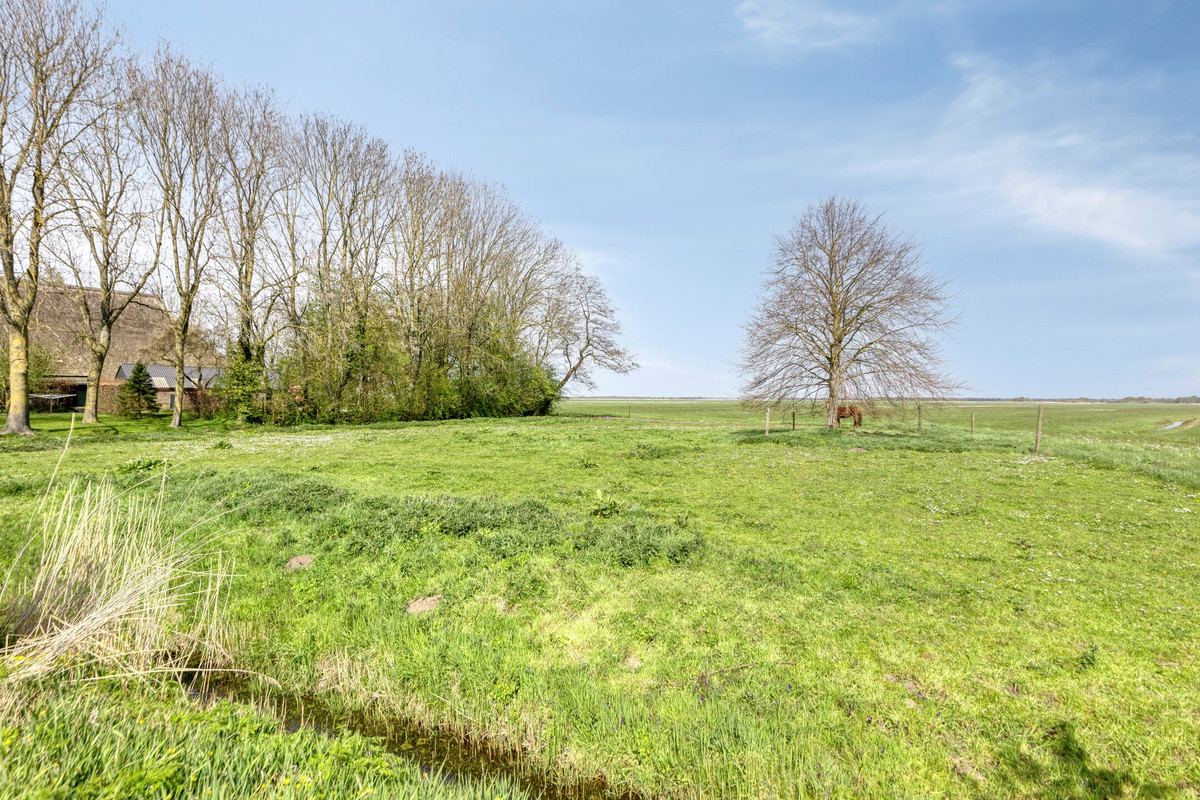 Woning te koop: Buurtsteeg, Blankenham