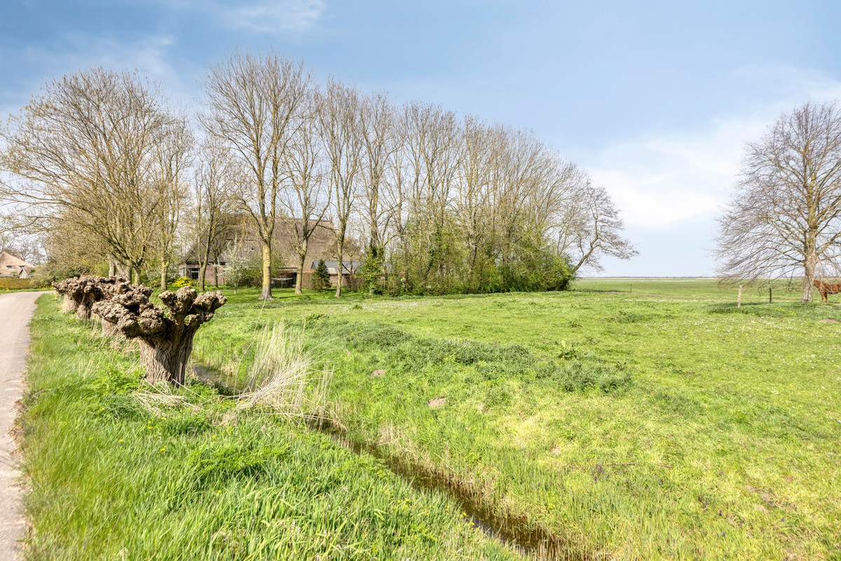 Woning te koop: Buurtsteeg, Blankenham
